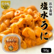 浜中養殖塩水うに　50ｇ