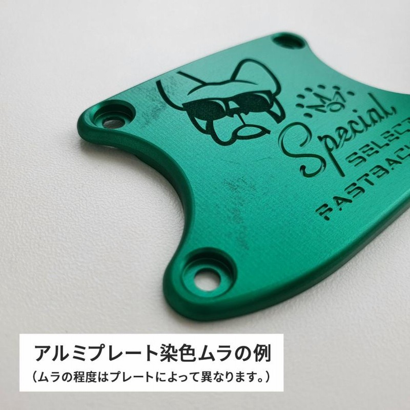 スコッティキャメロン カスタムパター 2020 スペシャルセレクト スコッティキャメロン カスタムパター 2020 スペシャルセレクト