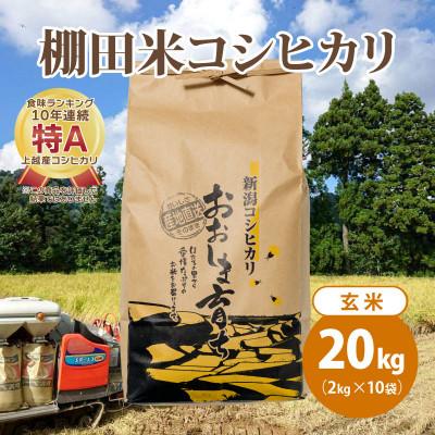 ふるさと納税 上越市 極少量米:数量限定令和5年産 新潟県上越市大島区産 棚田米コシヒカリ 20kg(2kg×10)玄米