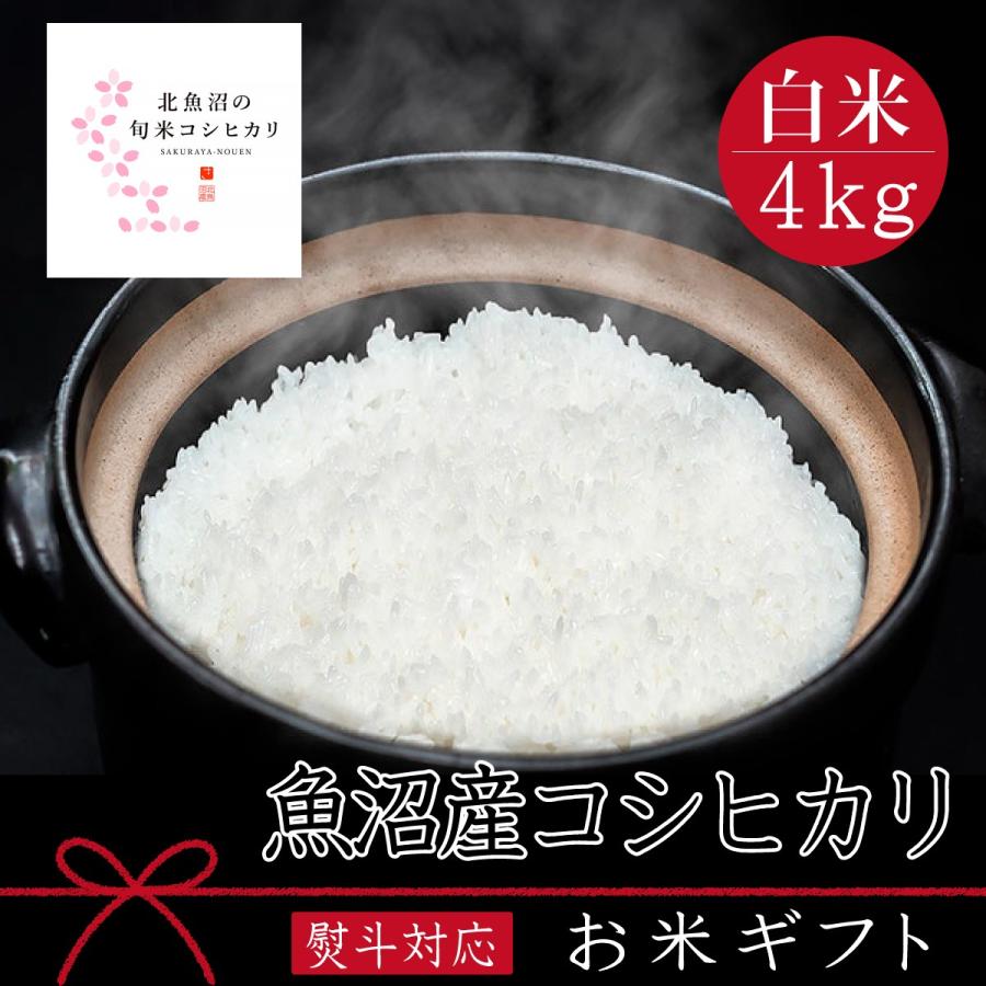 新米 お米 ギフト 令和５年産 魚沼産コシヒカリ 白米 ４kg(2kg×2袋) 送料無料  新米 農家直送