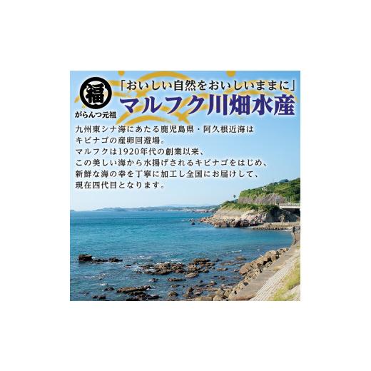 ふるさと納税 鹿児島県 阿久根市 鹿児島県阿久根市産干物セット(6種) 国産 九州産 鹿児島県産 新鮮 鮮度 魚 魚介類 乾物 ひもの おつまみ おかず お弁当 珍味 …