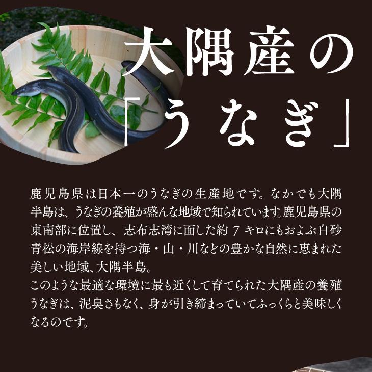 ギフト包装・熨斗・表書きOK  日本 国産 鰻 ウナギ 土用丑の日 お礼 御祝 お中元 ギフト 贈答 送料無料