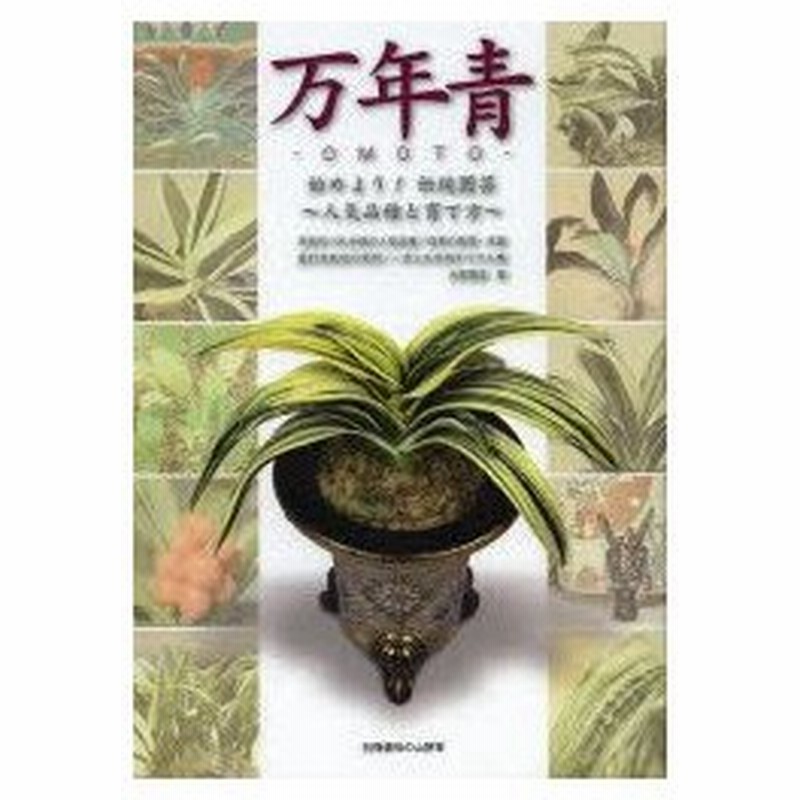 万年青 始めよう 伝統園芸 人気品種と育て方 水野豊隆 著 通販 Lineポイント最大0 5 Get Lineショッピング
