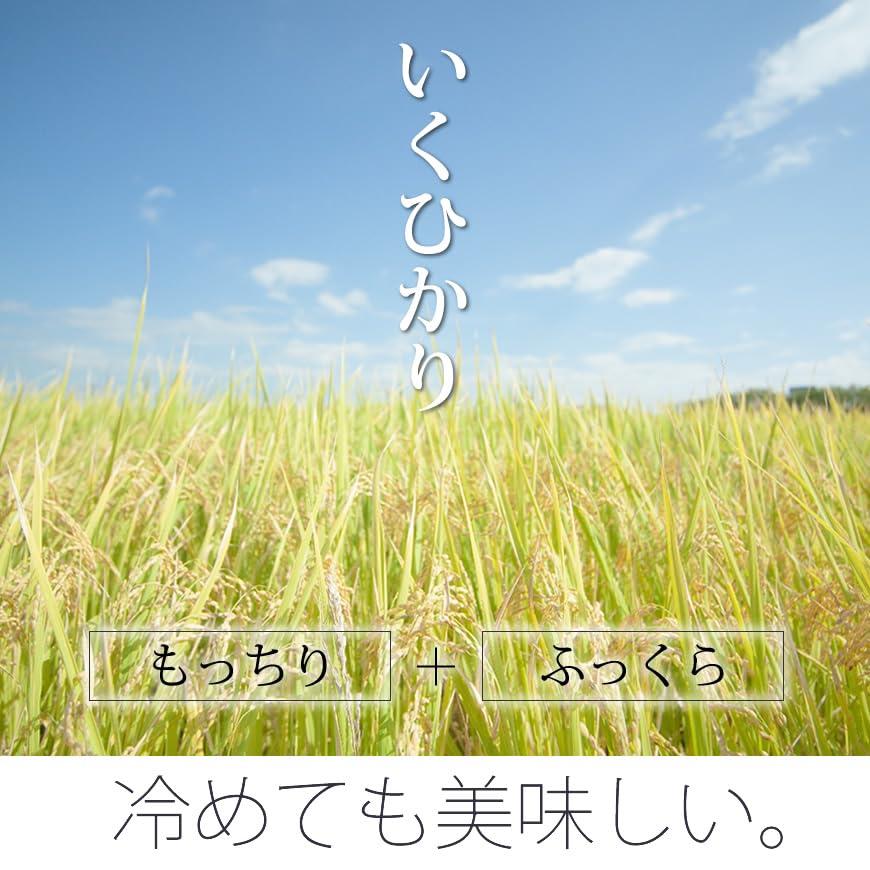  令和5年産 鹿児島県産 イクヒカリ 5kg 玄米 （ギフト 贈り物にも）