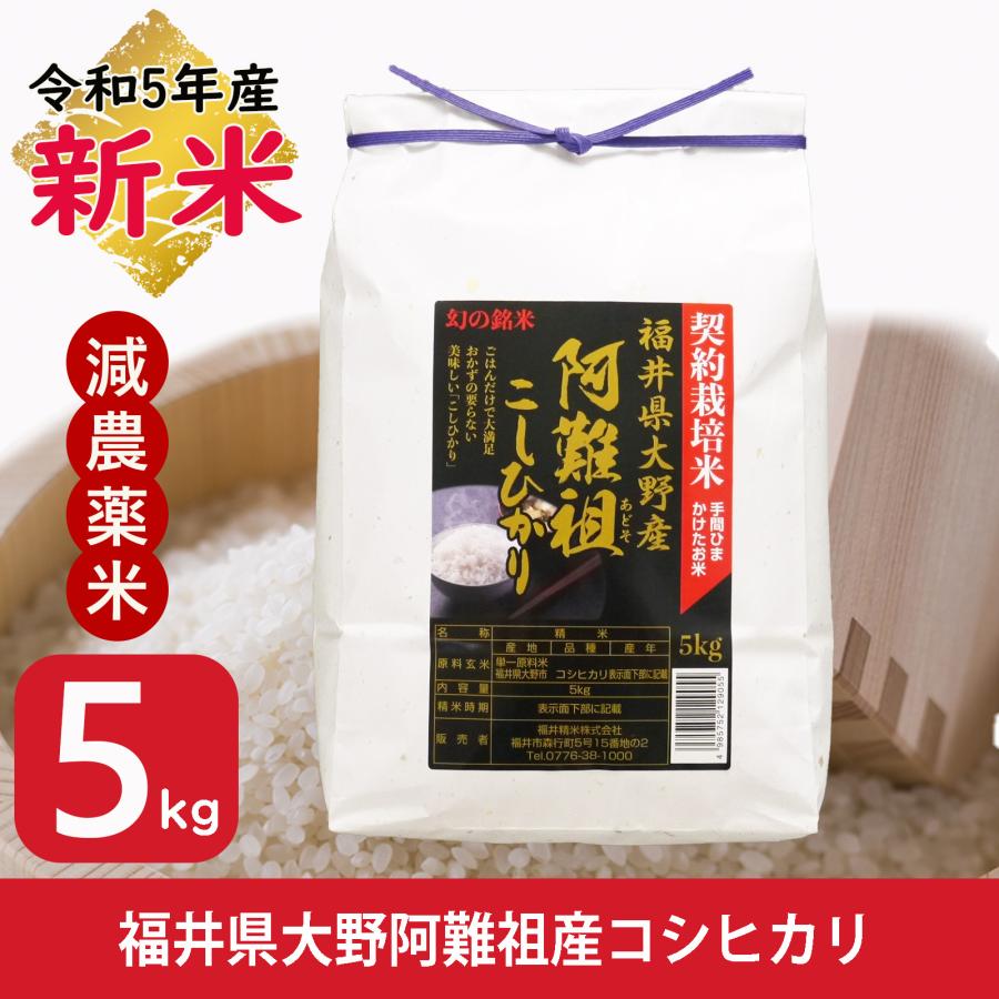 新米 米 コシヒカリ 5kg 福井県大野阿難祖産 白米 令和5年産 送料無料