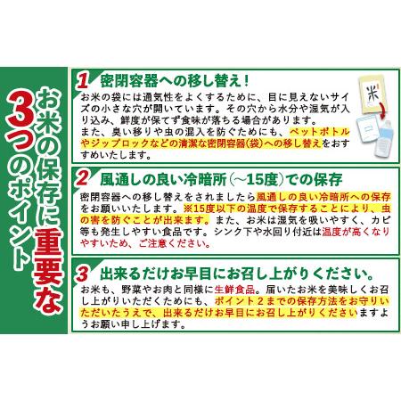 ふるさと納税 令和4年産 福岡県産 夢つくし 無洗米 15kg 5kg×3袋 株式