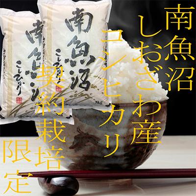 ふるさと納税 南魚沼市 生産者限定 契約栽培 南魚沼しおざわ産コシヒカリ 精米10Kg全6回