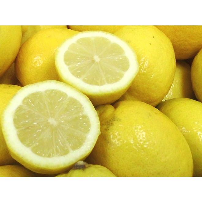 チリ・アメリカ産など ”ノンケミレモン” 大きさおまかせ 約3kg 安心の防ばい剤不使用！ノンケミカル 防黴剤（防かび剤）不使用