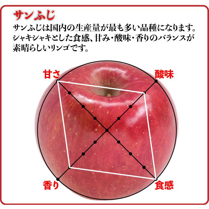 訳ありりんご 10kg 40玉前後 青森県産 送料無料 葉取らずりんご 訳あり 蜜入り リンゴ 林檎 お得用 ご家庭用 果物 フルーツ １０kg