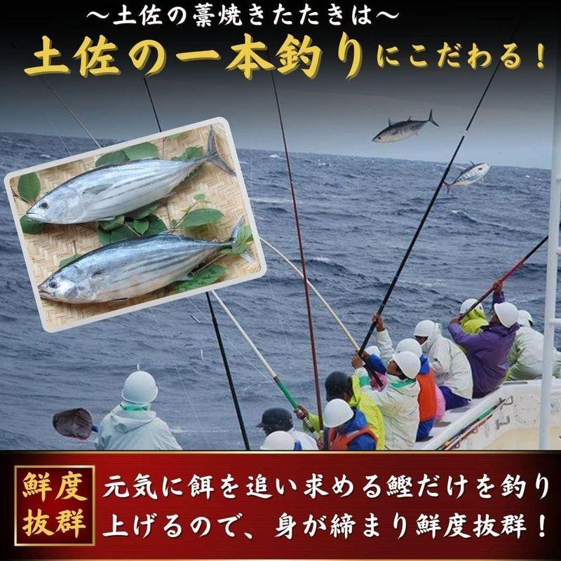 戻り鰹のたたき 刺身食べ比べセット 各1節 高知 池澤鮮魚 誕生日 ギフト (贈答用ギフト包装)