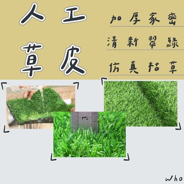 草皮 人工草皮 人造草皮 裝飾草皮 超擬真草皮 娃娃機草皮 柔絲草皮 採光罩草皮 隔音草皮 頂樓防曬隔熱草皮