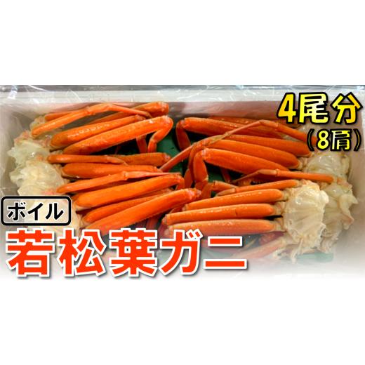 ふるさと納税 鳥取県 鳥取市 1116 ボイル若松葉ガニ ４尾分８肩(足１〜２本なし含む)