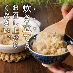 ふるさと納税 a10-596　令和5年産新米 玄米 5kg コシヒカリ 静岡県焼津市