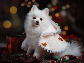 【iC原創】秋冬小可愛斗篷