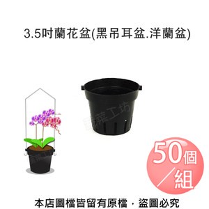 3.5吋蘭花盆(黑吊耳盆.洋蘭盆) 50個/組