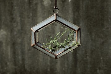 框景 | 扁扁的六角空氣掛件