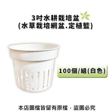 【蔬菜工坊】3吋水耕栽培盆(水草栽培盆.定植籃.水草盆.水耕盆)100個/組(白色)