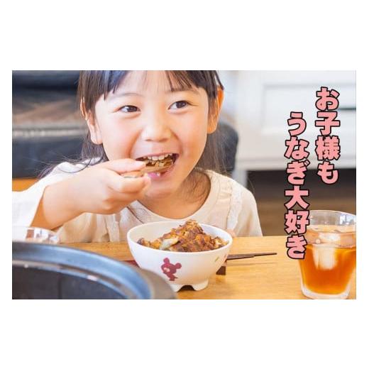 ふるさと納税 愛知県 名古屋市 炭焼うな富士　職人地焼きの　国産うなぎ半身　4袋入り