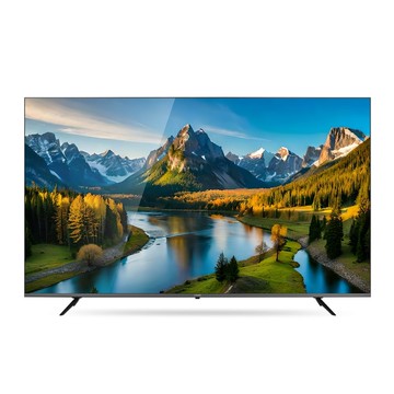 65型 4K Google TV液晶顯示器_不含視訊盒(TL-65G200)