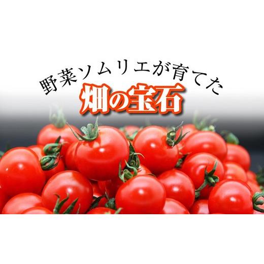 ふるさと納税 熊本県 玉名市 ソムリエミニトマト・プラチナ(3kg)