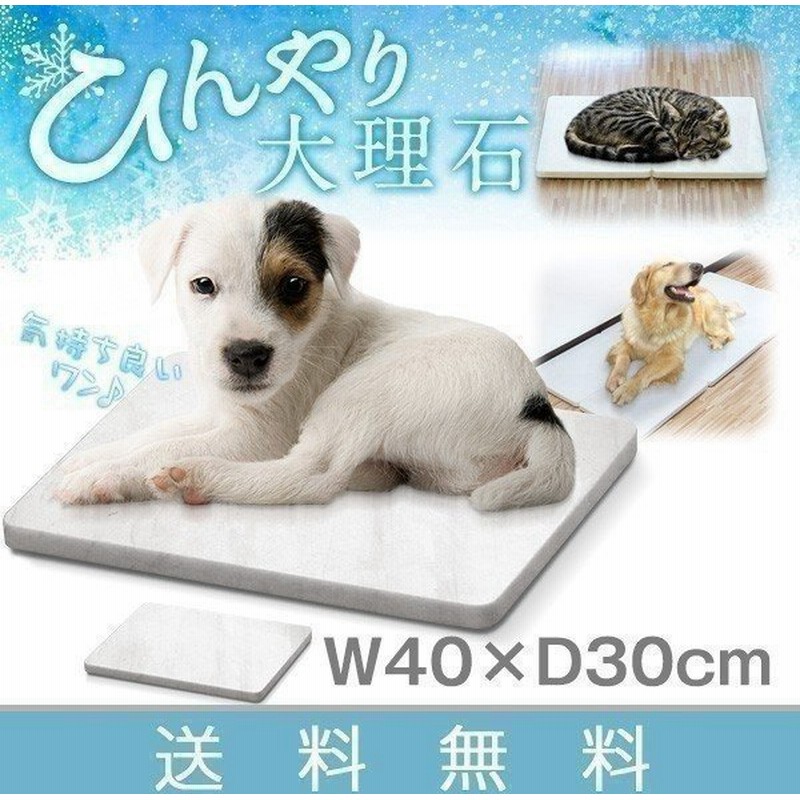 大理石 ペットベッド 犬用 猫用 冷たい ひんやり クールマット 暑さ対策 熱中症防止 クールパッド 冷却 冷感 ペット用品 おしゃれ 夏 プレート 送料無料 通販 Lineポイント最大0 5 Get Lineショッピング