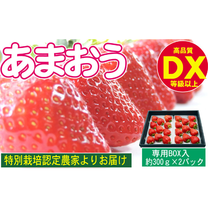 あまおう DX等級以上 約300g×2パック ※配送不可：北海道・東北・沖縄・離島