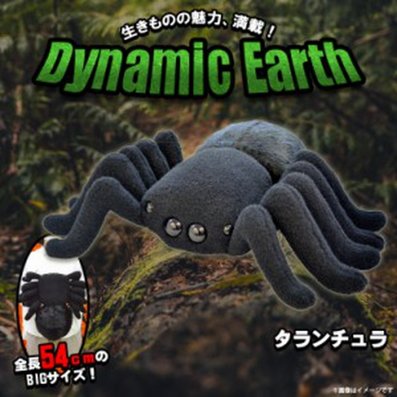 ぬいぐるみ 大きい Bigサイズ 昆虫 タランチュラ 蜘蛛 クモ 7348 Dynamic Earth 全長約54cm ド迫力 リアル ダイナソー 山二 通販 Lineポイント最大6 0 Get Lineショッピング