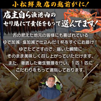 ふるさと納税 越前町 地元鮮魚店厳選  ≪浜茹で≫ 足折れ 越前がに 大サイズ 1杯