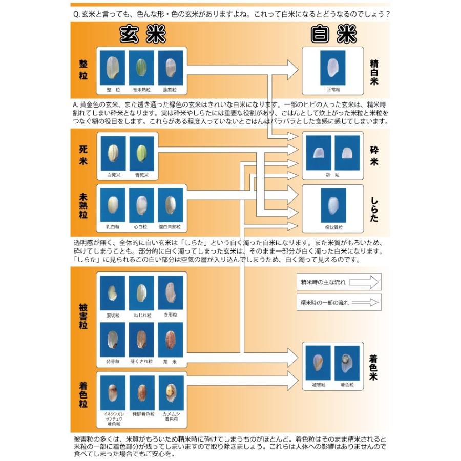 北海道産 きたゆきもち 玄米 30kg　令和5年産　一等米　北海道米　糯米　もち米玄米30kg