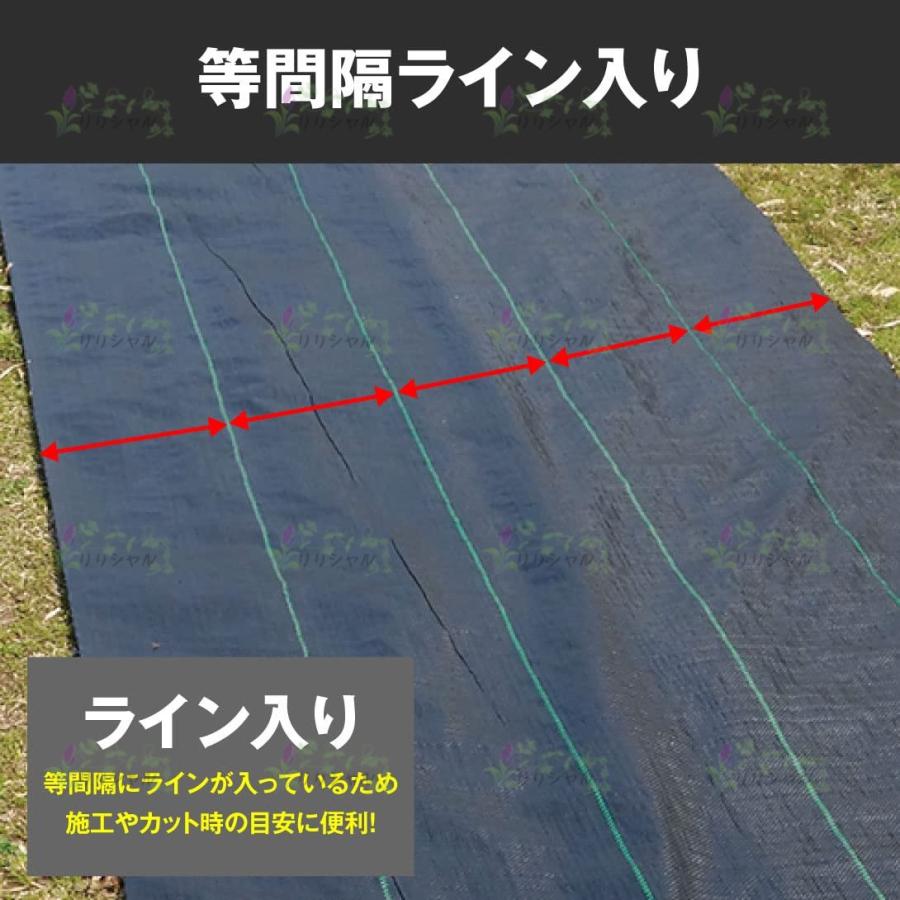 防草シート 除草シート 3m×100m 農用シート 草よけシート 雑草防止 農業 園芸用 除草 通水性 砂利 杭 高密度 高耐久 雑草対策