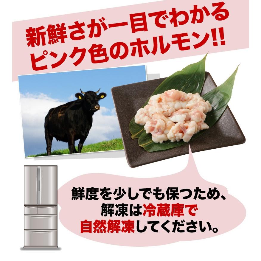 ホルモン 牛 博多 和牛小腸 九州産黒毛和牛 300g(100g x3袋) コプチャン モツ鍋 焼肉 炭火焼き クール