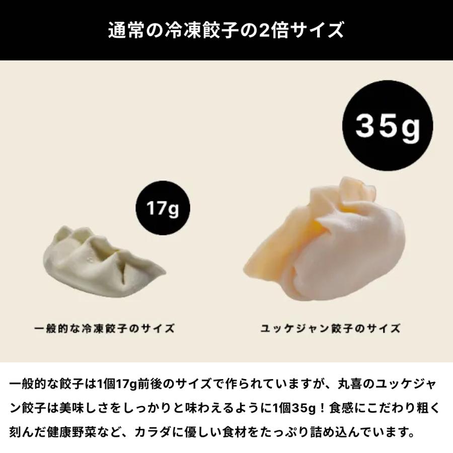 餃子取り寄せ 冷凍食品