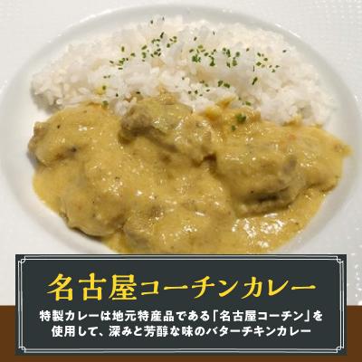 ふるさと納税 小牧市 名古屋コーチン2種のカレーセット(各2食)[057M06]