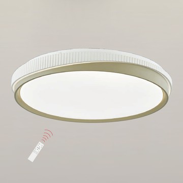 LED45W遙控吸頂燈 F85-09-K3575