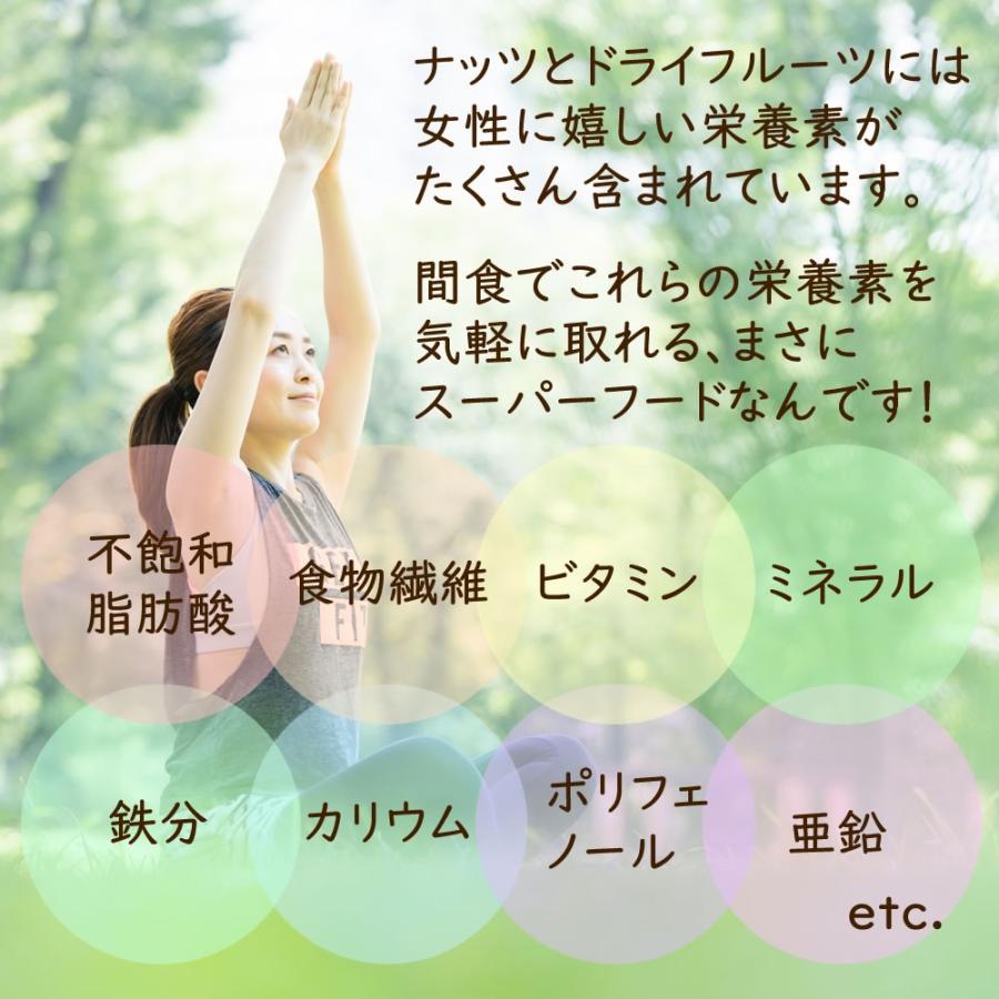 大地の生菓  ナッツ ドライフルーツ 9種類のナッツ＆ドライフルーツ ミックス 500ｇ 砂糖不使用 送料無料 クリスマス ギフト プレゼント 2023