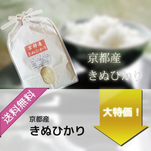 新米 お米 京都産 キヌヒカリ 令和5年産 10kg 玄米 5kg×2袋 選べる精米 玄米 白米 分付き 嬉しいプレゼント付き 送料無料