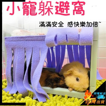 【台灣出貨】小寵睡窩 荷蘭豬躲避屋 塑料雙層 豚鼠躲避窩 寵物高低牀 透氣 可拆卸 角落窩門簾 小寵躲避窩