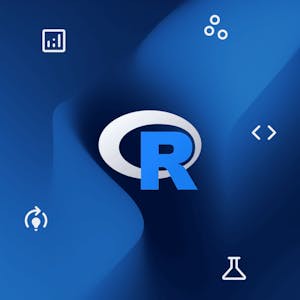 Data Analytics in the Public Sector with R