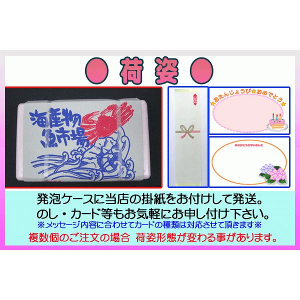 釜ゆでずわいがに 約900g〜1.0kg (2枚入・かに酢1本付）≪冷凍≫