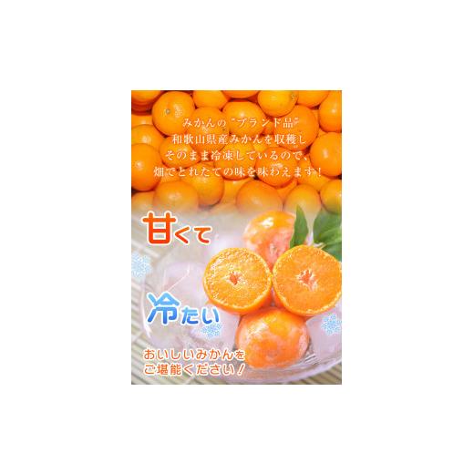 ふるさと納税 和歌山県 紀の川市 ご家庭用 冷凍みかん 約5kg サンファーム《30日以内に順次出荷(土日祝を除く)》和歌山県 紀の川市