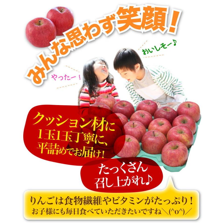 りんご 完熟蜜入り 5kg 青森県南部産 樹成り完熟 ご家庭用 訳あり サンふじりんご 送料無料 産地直送 Y常