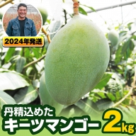 南風原農園　丹精込めた「キーツマンゴー」2kg