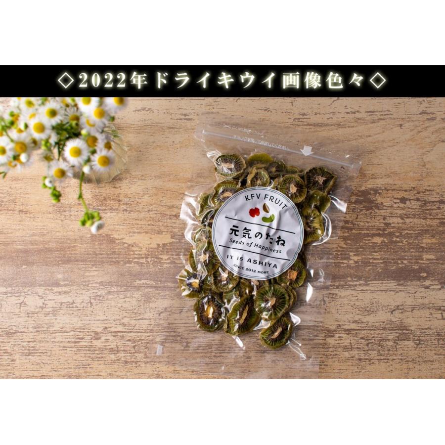 ドライフルーツ キウイ キウイフルーツ 100g（ 国産 福島県産 無添加 砂糖不使用 ノンオイル ） ドライキウイ スライスタイプ 乾燥キウイ 乾燥野菜 乾燥果実