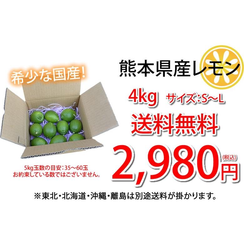 レモン 国産レモン 送料無料 4kg S〜L 3箱購入で1箱おまけ 熊本県産 減農薬 防腐剤ワックス不使用 れもん グリーンレモン 国産