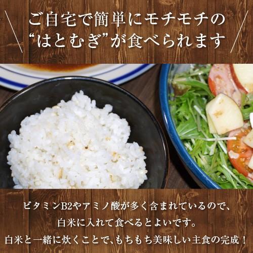 送料無料 はとむぎ 1kg 鳩麦 ハトムギ Job's tears Adlay よくいにん ヨクイニン