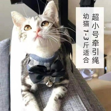 【24時特賣】貓衣服牽引繩 貓牽繩 繩附貓咪牽繩 寵物胸背帶貓胸背帶 背心胸背帶 遛貓 狗胸背帶