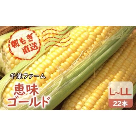 ふるさと納税 2024年8月下旬から出荷 北海道 豊浦 千葉ファーム 朝もぎ とうもろこし 恵味ゴールド 22本 L〜LLサイズ 北海道豊浦町