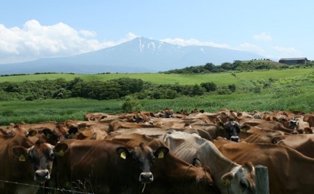 ジャージー乳仕込み！手軽にベーコンリゾット 土田牧場さんのお土産 250g×3袋