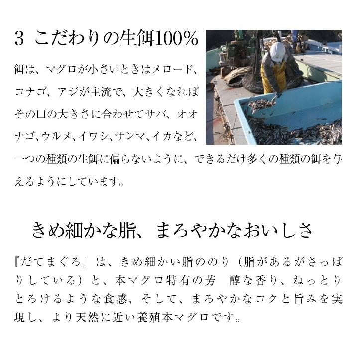 まぐろ マグロ 鮪 国産 本鮪 伊達マグロ 赤身 ブロック 柵 刺身 150g 1〜2人前