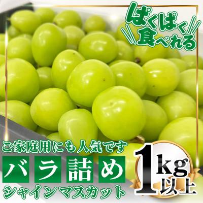 ふるさと納税 笛吹市 山梨県笛吹市 バラ詰めシャインマスカット1kg以上 訳あり